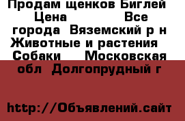 Продам щенков Биглей › Цена ­ 15 000 - Все города, Вяземский р-н Животные и растения » Собаки   . Московская обл.,Долгопрудный г.